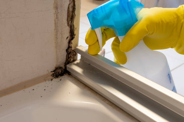 Crawl Space Mold Removal in Lambert, MS